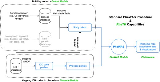 Standard PheWAS procedure and PheTK capabilities. Components in black and blue colors (all components except building cohort from a non-genetic database) are supported by PheTK. The blue components (processing data and running PheWAS from a study cohort and ICD code profiles of the cohort) were assessed in benchmark test against the R PheWAS package. PheTK module names are in green.