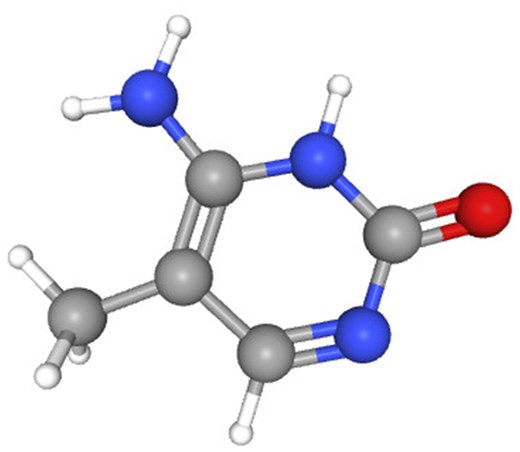 3D structure of m5C.