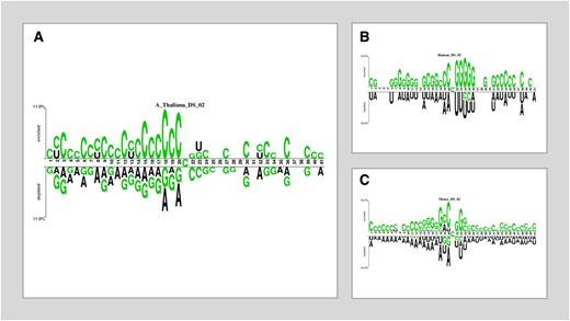 Two sample logos of DS_02. (A) Arabidopsis thaliana. (B) Homo sapiens. (C) Mus musculus.