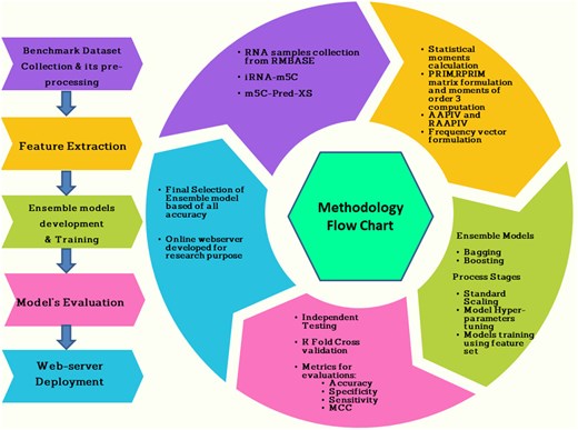 Proposed methodology.