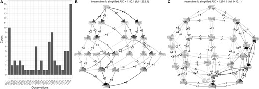 Accumulation dynamics in ovarian cancer progression. (A) The set of 87 cross-sectional observations of chromosomal aberrations in ovarian cancer (from independent patients, not linked by a phylogeny) from Knutsen et al. (2005). The (reduced) set of aberration locations is (8q+, 3q+, 5q−, 4q−, 8p−). (B–C) Inference of transition graphs using (B) irreversible and (C) reversible models.