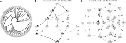 Evolutionary dynamics in tuberculosis drug resistance. (A) Observations of patterns of drug resistance from Casali et al. (2014). The phylogeny is plotted with uniform branch lengths for legibility; the true phylogeny has heterogeneous branch lengths. The (reduced) set of drug features is (INH, RIF, STR, EMB, PZA); 0 corresponds to susceptibility, 1 corresponds to resistance. (B–C) Inference of transition graphs using (B) irreversible and (C) reversible models.