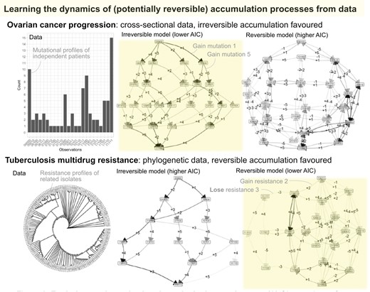 Graphical Abstract