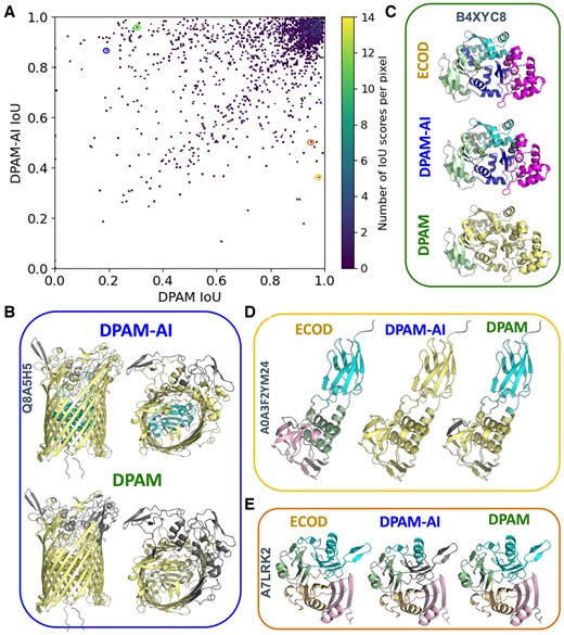 Comparison of parsed domains by DPAM and DPAM-AI. (A) A scatter plot showing the performance (measured by IoU) of DPAM-AI and DPAM on multidomain proteins from the ECOD test set. Each dot represents one ECOD domain, and the circled dots correspond to examples in (B-D). (B) An example where DPAM-AI correctly detects an additional domain (cyan) inside a β-barrel while DPAM fails. (C) DPAM-AI correctly separates multiple tightly packed and duplicated domains (cyan, blue, and magenta), while DPAM fails. (D) An example of a domain (cyan) with multiple discontinuous segments, for which DPAM-AI fails to recognize. (E) An example of a domain (cyan) with multiple segments discontinuous in sequence, for which DAPM-AI misses one segment (gray).
