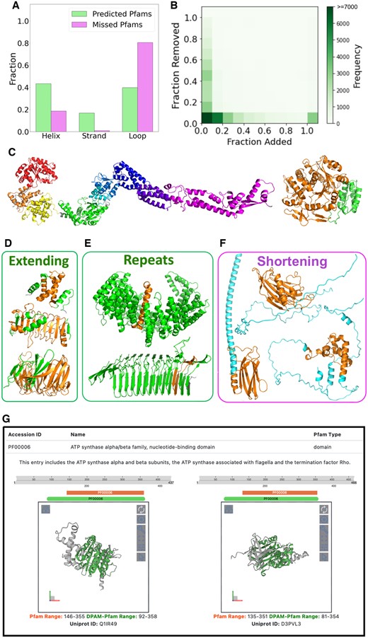 Comparison of domains defined by Pfam and DPAM-AI. (A) Pfam families without corresponding structural domains defined by DPAM-AI mostly consist of loops and are depleted of helices and strands. (B) Distribution (shown as heatmap) of the relative ratios (normalized by the length of the Pfam domains) of residues that are removed and added to the Pfam domains by DPAM-AI. If the relative ratio of added residues is above 1, we count it as 1. (C) Examples of Pfam domains that are split into multiple domains by DPAM-AI. Different DPAM-AI domains are shown in different colors. (D) Examples where DPAM-AI extends the boundaries of Pfam domains: residues belonging to the Pfam domains are in orange, and added residues are in green. (E) Repeats are the extreme cases where DPAM-AI significantly extends the Pfam domain boundary. (F) Examples where DPAM-AI shortens the boundaries of Pfam domains: residues belonging to the DPAM-AI domains are in orange, and residues in the Pfam domains but not DPAM-AI domains are in cyan. (G) A snapshot of our website to present the 3D structures and refined boundaries to Pfam domains.
