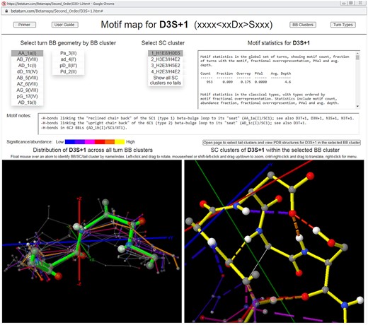 Upper-level motif map screen for the sequence motif that specifies Asp at turn position 3 and Ser just after the turn (D3S + 1). The upper-level motif map screen supports the exploration of the recurrent BB and SC structures and H-bonds associated with a sequence motif in beta turns. BB and SC clusters are represented by their medoids, which are color-coded with a heatmap of relative motif statistical significance (for BB clusters, at left, with the selected cluster highlighted) or cluster size (for the SC clusters within the selected BB cluster, at right) and scaled according to cluster size. Navigation is achieved via menus that order clusters by statistical significance (for BB clusters) or cluster size (for SC clusters, in which all members contain the sequence motif), and motif statistics are provided, along with text annotations for a selection of key motifs. In the figure, the D3S + 1 motif’s most significant BB cluster is selected along with its largest SC cluster, and the SC cluster viewer at right shows that these choices are associated with SC/SC and SC/BB H-bonds linking the turn to the bulge in the common type 1 beta-bulge loop (Milner-White 1987). The lower-level screen, opened by the button above the SC cluster viewer, supports the navigation of the “tail” clusters (contexts) associated with the sequence motif within the BB cluster selected on the upper-level screen, as well as the browsing and profiling of the underlying PDB structures.