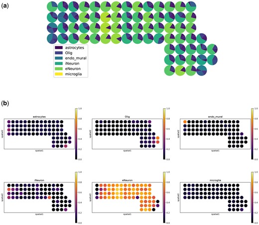 Example visualization results of SLS on the seqFISH+ (10 000) dataset. (a) A spatial scatter pie plot displays inferred cell-type composition on spatial location (produced by the command overall_plt()). (b) The proportion of each cell type is displayed on spatial location (produced by the command separate_plt()).