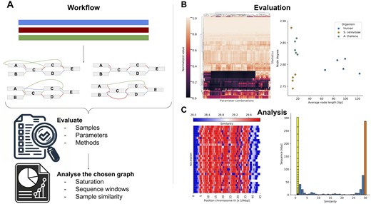 Gretl overview. (A) Genome graph construction workflow: genome graph properties are influenced by various factors, including parameter selection, sample curation, and methodology, all of which impact the layout and structure of the resulting genome graph. For evaluation purposes, multiple graphs can be simultaneously generated and compared to identify an optimal representation for a specific task. The selected graph can then be analyzed with gretl. (B) Visualization of gretl output: left, graphs can be clustered based on multiple statistics, grouping similar species or construction parameters (shown here, with normalized values). Right, scatter plot depicting two selected statistics across various graphs, facilitating comparisons between different species. (C) In-depth analysis of a selected genome graph (example from yeast): left, path-centric sliding window analysis of the Saccharomyces cerevisiae genome graph, highlighting regions of high similarity. Right, pan-genomic analysis of the genome graph. Sequences found only in a single sample are separated and each block represents one path of the graph.