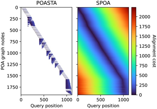 Representation of the dynamic programming matrix to compute the global alignment of a nusA gene sequence (x-axis) to a POA graph constructed from 50 other nusA gene sequences (y-axis). Each pixel represents a computed alignment state, and the color represents the alignment cost of that state. White pixels represent uncomputed states.