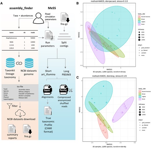 MeSS and assembly_finder workflows and assessment of simulated communities. (A) Main steps of assembly_finder and MeSS workflows. (B) Analysis of real and simulated datasets with NMDS ordination of beta diversity using Jaccard. (C) Bray–Curtis. Circles correspond to real samples, triangles to real samples filtered at 200 reads per taxa, squares and diamonds to CAMISIM and MeSS simulated samples, respectively. Shape size reflects the number of species present in the sample. Each ellipse groups a different body site: buccal mucosa (red), throat (green), vagina (blue), and feces (purple).