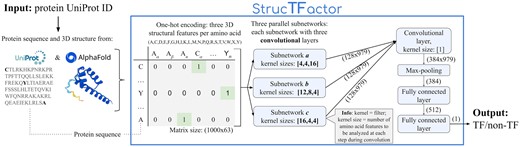 Overview of our TF prediction method: StrucTFactor (see Section 2 for details).