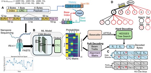 Overview of experimental workflow. (A) Encoding parameters and strand design used throughout the course of our experiments. (B) This work assumes a ML model that transforms nanopore signals to CTC outputs from which the code can be directly decoded (soft decoding), or decoded following a basecalling process that decodes the ML model output. (C) Diagonally striped RS outer code model assumed to allow for final densities to be calculated when taking into account the rate of byte-errors emitted from the studied decoders. (D) Outline of HEDGES decoding. Guesses are made on which bit was encoded which also emits a corresponding base according to the hash. Guesses include all possible error scenarios and are organized within a tree data structure.