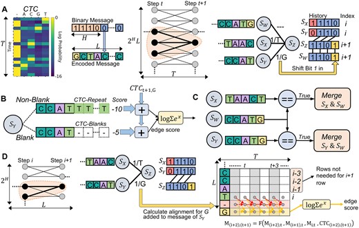 Soft decoding algorithms evaluated in this work. (A) The trellis architecture and connections of states used by the Beam Trellis algorithm (Chandak et al.). (B) Edge scoring mechanism of the Beam Trellis algorithm to account for CTC-encodings of candidate messages. (C) State merging required by the Beam Trellis algorithm to account for duplicate state messages. (D) Architecture and scoring methodology used by our novel alignment matrix algorithm. Arrows in the alignment matrix represent data used to calculate newly added rows for both the new blank and base symbols.