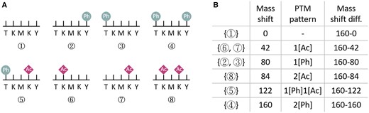 An example of PTM pattern inference problem. (A) Eight possible proteoforms for the protein segment TKMKY. (B) The mass shifts, corresponding PTM patterns, and mass shift differences for these eight possible proteoforms.