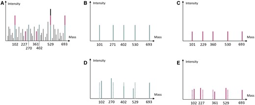 (A) An example HomMTM spectrum containing both types 6 and 7 proteoforms in Fig. 1A. (B) The theoretical spectrum for type 6 proteoform. (C) The theoretical spectrum for type 7 proteoform. (D) The alignment of type 6 proteoform, where solid peaks are real peaks from the input mass spectrum and dotted peaks are theoretical. (E) The alignment of type 7 proteoform, where solid peaks are real peaks from the input mass spectrum and dotted peaks are theoretical. Note that, in both (D) and (E), the real peaks have masses slightly different from that of theoretical peaks. The intensities of real peaks are also slightly different from the theoretical ones.