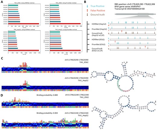(A) The 6-mer counts in the top 10% of the positive samples for TIA1 in K562 and HepG2 cell lines, using HDRNet and PrismNet methods, ranked by their prediction scores. (B) Predicted versus observed binding sites of TIA1 on the HNRNPH1 transcript. (C and D) TIA1 binding probabilities and saliency maps in HepG2 and K562 cells and the visualization of the RNA secondary structure.