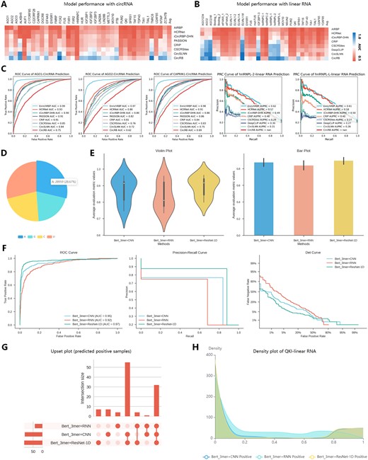 The prediction analysis investigating different models of EnrichRBP. Analysis of results using customized methods to predict QKI binding sites. (A and B) The heatmap of the respective AUC scores of prediction of EnrichRBP and other baseline methods. (C) The prediction ROC and PRC curve of the five RBP datasets using EnrichRBP and the other methods. (D) Pie chart of the number and proportion of nucleotide composition in the target set sequences. (E) The violin plot and bar chart of the performance of the different methods, where ‘average evaluation metric value’ refers to the average of eight evaluation metrics. (F) ROC, PR, and Det curves of the different models. (G) Upset plot to express the relationship of prediction results for the different models (only sequences predicted as binding sites are shown). (H) Density distribution of prediction confidence for different deep learning models.