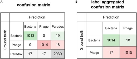(A) Confusion matrix of three label scores generated from PharaCon shows label tokens as strong constraints. (B) Compared the label aggregated confusion matrix of PharaCon with the three-label score confusion matrix, paradox samples can help model better distinguish bacterial and phage samples to some extent.