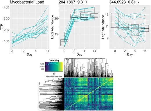 Trajectories for time to positivity which is inversely related to mycobacterial load (top left), an interesting metabolite (top center), and a more stationary but still potentially interesting metabolite (top right). Absolute correlation heatmap for all metabolites for difference of the first two time points (bottom).