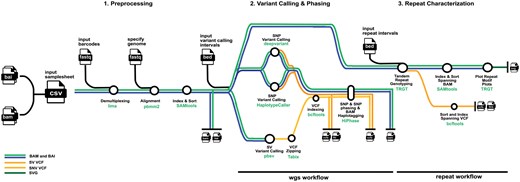 The Pacvar pipeline comprised of (1) Pre-processing, (2) Variant Calling and Phasing, and (3) Repeat Characterization. The component software packages are noted at each step of the pipeline as well as the associated function.