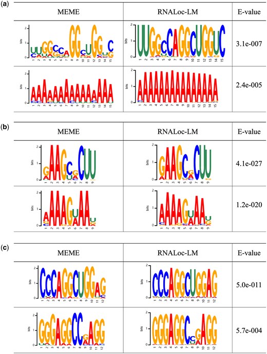 Motifs identified by the MEME suite (left) and by RNALoc-LM (middle). The right column displays the E-values for the motifs discovered by the MEME suite. (a) Identified lncRNA motifs. (b) Identified miRNA motifs. (c) Identified circRNA motifs.
