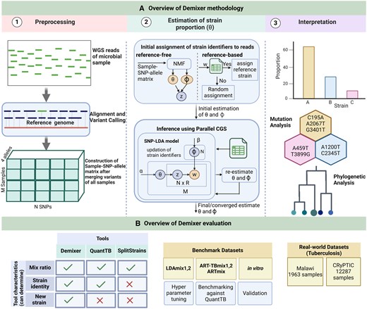 Our Demixer overview. (A) Illustrated here are the three steps of our Demixer method (preprocessing of WGS reads to generate the M×N×4 Sample-SNP-allele matrix, SNP-LDA model based inference of the Sample-Strain proportions θ from this matrix, and interpretation of the learnt mutations). The matrix of parameters of our SNP-LDA model, θ and ϕ (Strain-SNP-allele distributions), are estimated using the parallelized Collapsed Gibbs Sampling (CGS) inference algorithm (refer Supplementary Figs S1 and S2). (B) Different synthetic/real-world datasets and methods used to assess the effectiveness of Demixer in estimating the strain identities and their proportions.