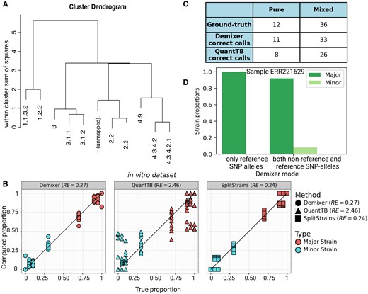 Demixer versus other methods on in vitro dataset. (A) The hierarchical relationship between the strains inferred by Demixer in the in vitro dataset. (B) Compares the predicted versus actual proportions of the major/minor strain in each sample. (C) The number of samples for which the strains inferred by Demixer (or QuantTB) mapped correctly to the lineages present in the sample. (D) The strain proportions identified by Demixer for the sample ERR221629, which is actually a mixed sample with ground-truth strain proportions 0.90/0.10. SplitStrains can detect only proportions and not strain identities, so it is not shown in panel C.