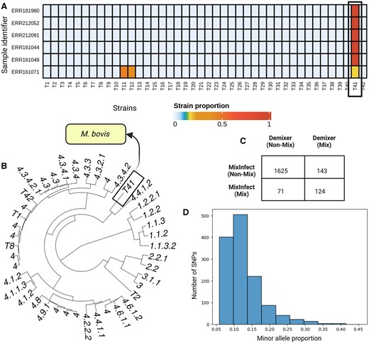 Demixer results on Malawi dataset. (A) The Demixer-estimated strain proportions of samples containing M. bovis strains. Here, Demixer is run by hiding the SNP-alleles relevant to M. bovis strain. (B) The hierarchical clustering of the inferred strains. The strain number T41 corresponds to the new strain identified by Demixer, which is distant from the lineages 1, 2, and 3. (C) The number of samples identified as mixed and non-mixed by Demixer and MixInfect. (D) The SNP plot of sample ERR161149 identified as mixed by Demixer and non-mixed by MixInfect. The x-axis refers to the proportion of the minor alleles in a heterozygous SNP and y-axis refers to the frequency of such SNPs with that minor allele proportion.