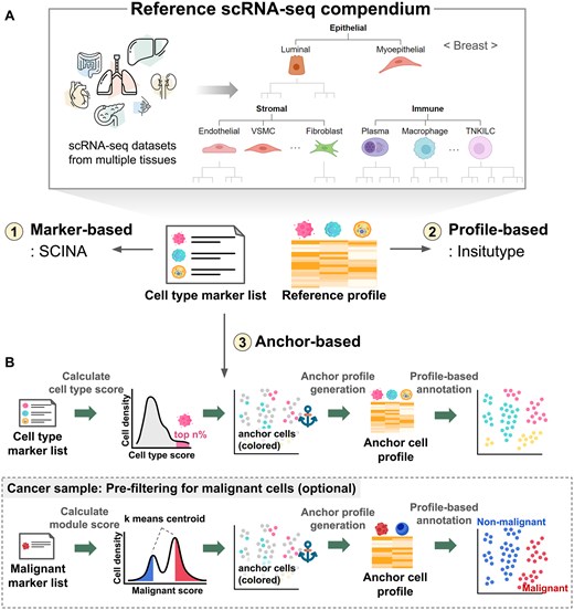 Reference scRNA-seq compendium and cell type annotation. (A) Construction of a compendium of reference scRNA-seq datasets. Cell type hierarchy at the primary and secondary levels is shown for breast tissue. (B) Cell type annotation methods in HISSTA.