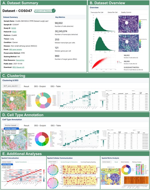 Screenshots from HISSTA results pages. (A) Dataset Summary for a lung cancer sample, generated using CosMx SMI technology. Characteristics of the sample and experimental methods (e.g. 960-plex CosMx panel) are shown, along with key metrics after data pre-processing. Note that HISSTA provides a link to Vitessce for interactive visual analysis and a link for downloading the Seurat object in RDS format for further analysis. (B) Dataset overview information for quality control assessment. (C) Clustering and DEG analysis results. (D) Cell type annotation results. These results are available as a colored tissue image map, a pie chart of cell type ratios, a dot plot of representative marker genes, and a table to examine signature genes for each cell cluster. (E) Results from advanced spatial context analyses. Most images can be downloaded.