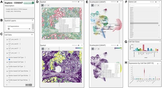 Screenshots from interactive visualization with Vitessce. Panel windows are illustrated in (A–H). (C) Cell sets panel lists 10 cell sets defined by the HISSTA analysis pipeline. Selecting one of these activates coloring the spatial and scatterplot windows by cell sets, as shown in the upper figures of (D) and (E). The lower figures show coloring by the expression values of selected gene in the gene list panel (F). The bar graph for cell set sizes shown in (G), and violin expression plots in (H) are activated by choosing cell sets or a gene of interest, respectively.
