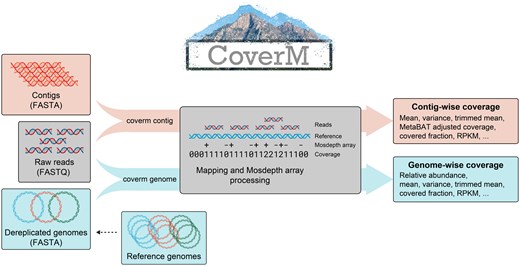 CoverM operation. In “contig” mode, reads are aligned to contigs, alignments are sorted by reference position, a “Mosdepth array” is constructed and then coverage statistics are calculated for each contig. In “genome” mode, a Mosdepth array is similarly constructed for each contig in the genome, and then coverage statistics are reported for each genome.
