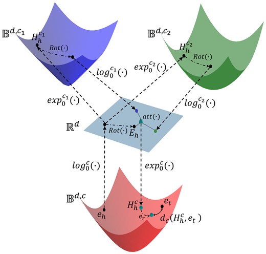 Schematic of GeOKG-H. GeOKG-H is the hyperbolic space embedding model for GO. eh and et are the final embeddings of head and tail entities, respectively. The approach uses exponential and logarithmic mappings (Supplementary Section S2.1), exp(·) and log(·), to bridge between Euclidean and hyperbolic spaces. In each interaction space, the rotational transformation Rot(·) is applied and then the results are integrated back into the Euclidean space. The attention mechanism, att(·), aggregates the geometric information from all the interaction spaces. The learning objective in hyperbolic space with learnable curvature c is to optimize the entity and relation embeddings by minimizing the hyperbolic distance dc(Hhc,et).
