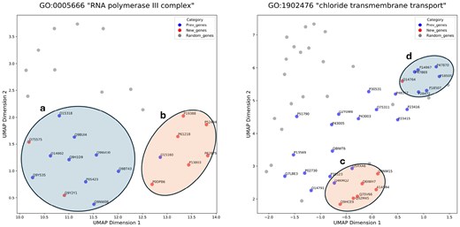 UMAP visualizations of gene embeddings. The UniProt ID of the gene product is labeled for New_genes and Prev_genes. Compared to Random_genes, Prev_genes are significantly closer to New_genes (P-values < 8.0e−30, Mann–Whitney test). We set “init” parameter as “random.”