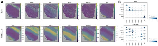 STMGAMF reconstructs the expression of layer marker genes on slice #151507 in the DLPFC. (A) Visualization of the original and reconstructed expression patterns of layer marker genes on slice #151507 in the DLPFC. (B) Violin plots of original layer marker gene expression and violin plots of STMGAMF reconstructed layer marker gene expression.
