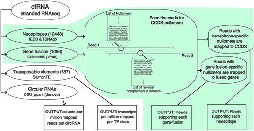 Overview of the complete workflow. The FastNeo workflow is shown with a green background.
