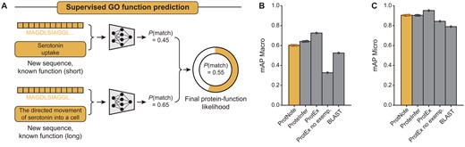 ProtNote achieves robust supervised prediction of GO function annotations. (A) In the supervised setting, ProtNote predicts protein–function likelihoods for unseen sequences with known GO annotations. ProtNote is used twice for each protein–function pair, once for the function’s short textual description and another for the long textual description. The final likelihood score is the average of the scores obtained from both descriptions. (B and C) mAP Macro (B) and mAP Micro (C) scores for GO annotation prediction in the supervised setting, comparing ProtNote (n = 5 independently trained models) against ProteInfer (n = 5 seeds), ProtEx with and without exemplars (n = 1 seed), and BLAST (mean ±SD; numerical values and statistical tests are provided in Supplementary Table S2).
