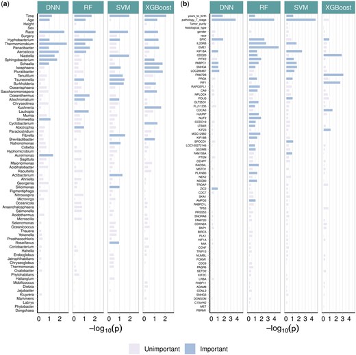 Negative log 10 P-values for biomarkers from real datasets. (a) Feature importance for the weight loss data. (b) Feature importance for the TCGA data.