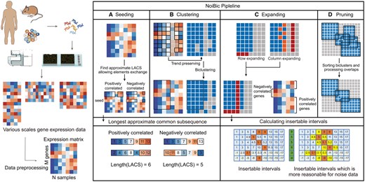 Bioinformatics I NoiBic: a noise-tolerant biclustering algorithm for high-throughput ...