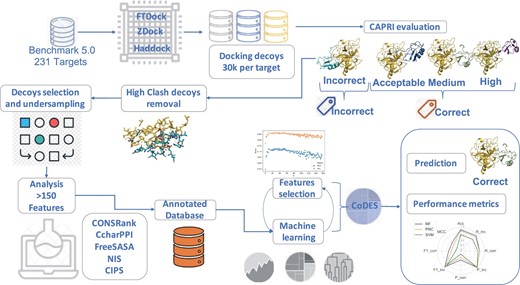 An overview of the classifier development. ≈107 docking decoys were generated for the BM5 targets with FTDock, ZDOCK and HADDOCK. Based on the CAPRI quality criteria, they were labeled as correct or incorrect; where the ‘correct’ class includes the acceptable, medium- and high-quality ones. Decoys with a high number of clashes were removed. By undersampling, balanced and unbalanced (in terms of included correct and incorrect decoys) datasets were derived for training and validation. For each decoy, 158 features (scoring functions and complex descriptors) were calculated. Three different ML algorithms were applied, from which, upon validation, the RF one was selected. The optimized RF classifier, CoDES, was then independently tested