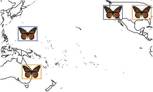 Map of locations of monarch populations described in this study. Orange locations reflect the locations of monarch populations used for assessing diapause responses by Goehring and Oberhauser (2002) (Minnesota, USA) and the present study (Queensland, Australia). Blue locations were used for comparison of antennal circadian clock gene expression between California migrants and Guam residents.