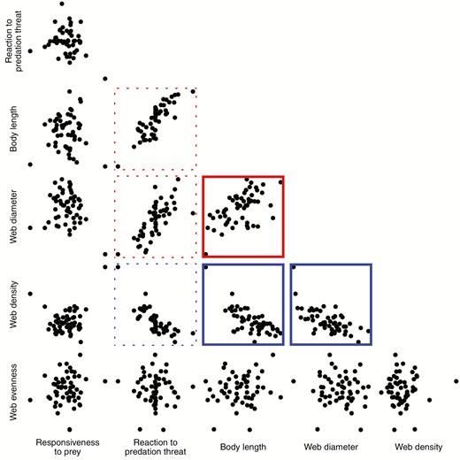 Pairwise plots of the estimated among-individual relationships between the six traits we studied, using best linear unbiased predictors extracted from the multivariate model. If the 95% credible intervals of the correlation did not overlap zero the pairwise plot has a solid border, which is red if the correlation was positive, or blue if the correlation was negative. The 95% credible intervals of the among-individual correlations between reaction to predation and web diameter, web density and body length all marginally overlapped zero, and so the borders are plotted with dashed lines.