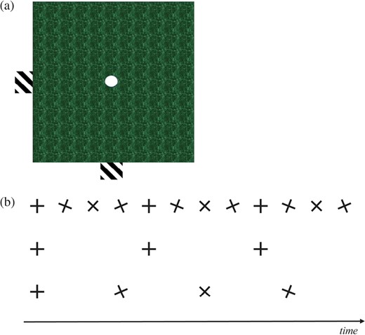 A, the aperture problem. See Video 1 (the video is playable in the HTML version). Initially, a horizontal bar with oblique stripes moves rightwards; this direction of motion is clear when seen on either side of the occluding green square, but when its stripes are viewed through the central circular aperture they appear to drift towards the top right, orthogonal to their orientation. Next, a vertical bar with similarly oriented stripes moves upwards; again, the motion is perceived correctly below and above the green square, but through the central aperture its stripes also appear to drift towards the top right. Motion viewed through an aperture may not be perceived veridically. B, the wagon wheel illusion. If a moving stimulus with regular structure is temporally sampled, the rate at which it is sampled can affect how it is perceived. Here, a clockwise rotating cross is sampled 12 times (top row, black crosses) as it rotates through 360°: the perception of motion is veridical. However, if it is sampled only every fourth frame in the same period (middle row, black crosses), it will appear not to move. And if it is sampled every third frame (bottom row, black crosses), it will appear to move anti-clockwise. A similar principle applies to repeating spatial patterns, such as stripes: when they are orthogonal to the direction of motion, the stripes could appear to move backwards; when they are parallel to the direction of motion, there is no speed information at all, and the direction is ambiguous (forwards, backwards or even stationary).