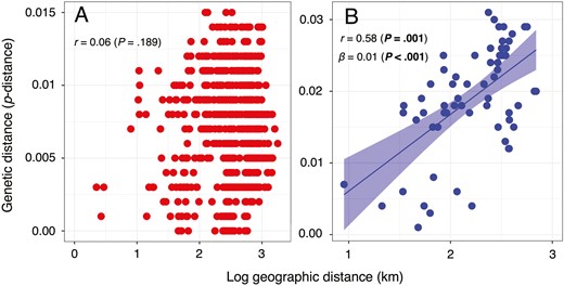 Relationship between geographical distance and genetic distance for Synuchus sp. A (A) and Synuchus sp. B (B). Values of geographical distance are log10-transformed. Genetic distance is the average pairwise distance (p-distance) of the mitochondrial DNA COI sequences. ‘r’ indicates Mantel r, and ‘β’ also indicates the slope of the regression. The line and coloured range in B are the results of linear regression analysis and indicate the regression line and 95% confidence interval. Statistically significant P-values are shown in bold.