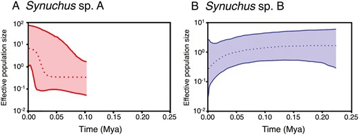 Bayesian skyline plots based on the mitochondrial DNA COI sequences for Synuchus sp. A (A) and Synuchus sp. B (B). Dotted lines indicate median values, and coloured ranges indicate the 95% highest posterior density intervals.