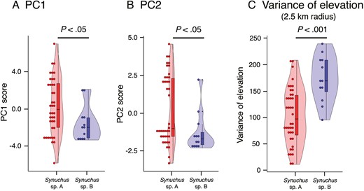 The environmental differences between the habitats of Synuchus sp. A and those of Synuchus sp. B. The values are based on principal component (PC) analysis (see Results) and calculation of the variance in elevation. A, differences in PC1 scores. B, differences in PC2 scores. C, differences in the variance of elevation (with a radius of 2.5 km). The results of Mann–Whitney U-tests and ANOVA are shown.