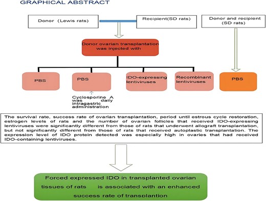 Graphical Abstract