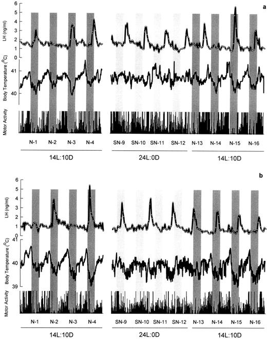circadian rhythm of the preovulatory surge of luteinizing hormone comparison of the rhythms of plasma lh body temperature and locomotor activity in 2