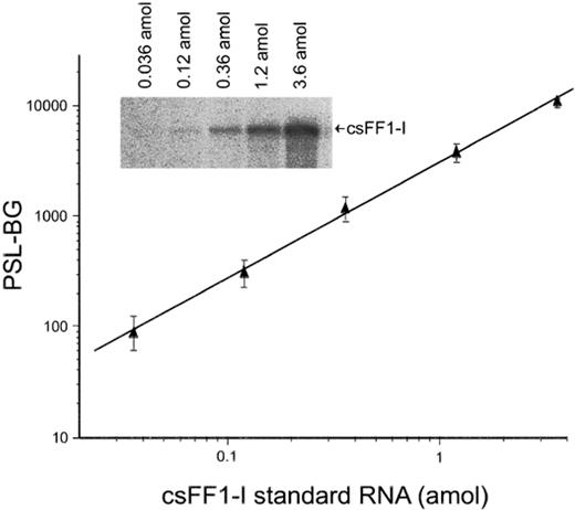 Representative standard curve in RNase protection assay for csFF1-I mRNA. Serially diluted reference RNA was hybridized with antisense probe, followed by RNase digestion. The linear standard curve was obtained by plotting the background (BG)-subtracted value of photostimulated luminescence (PSL) of the protected band. The bands are shown in the inset against the respective amounts of the csFF1-I reference RNA