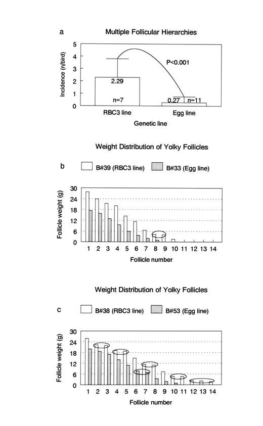 frequency of luteinizing hormone surges and egg production rate in a number of multiple follicular hierarchies of rbc3 and egg line hens multiple follicular